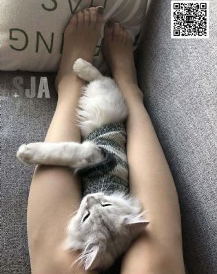 塔尔萨之王第二季在线观看