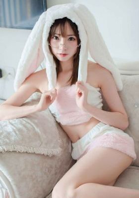 谍之心