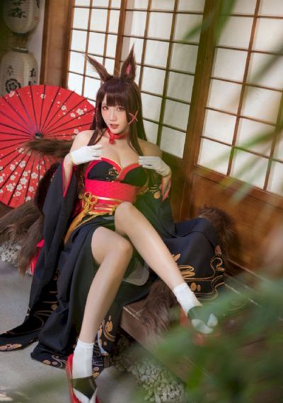 白夜追凶电视剧免费观看全集高清