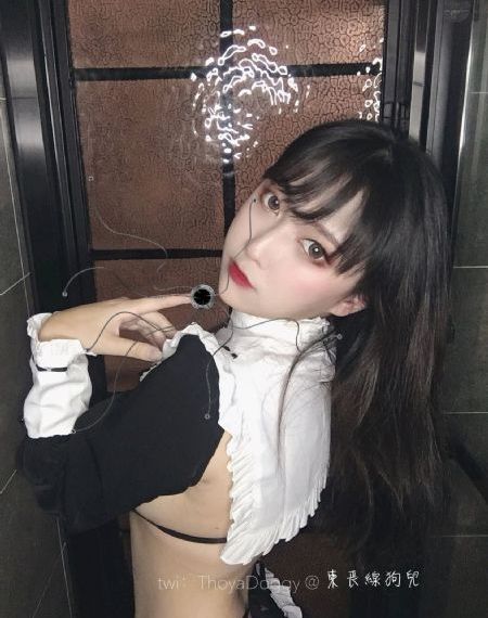 弗拉德与尼基免费全集