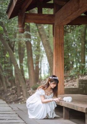 布拉芙夫人完整电视剧免费+大鱼