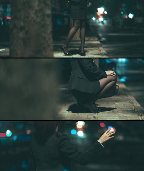 《森林里的熊先生》樱花动漫