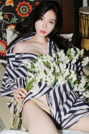 电视剧我的团长我的团