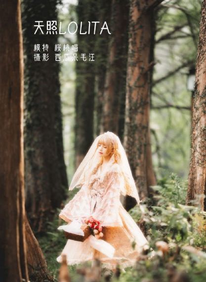 青柠电视剧全集高清完整版免费