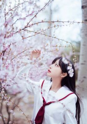 细狗网页端登录入口免费版